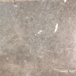 Meet your Posher, Billy